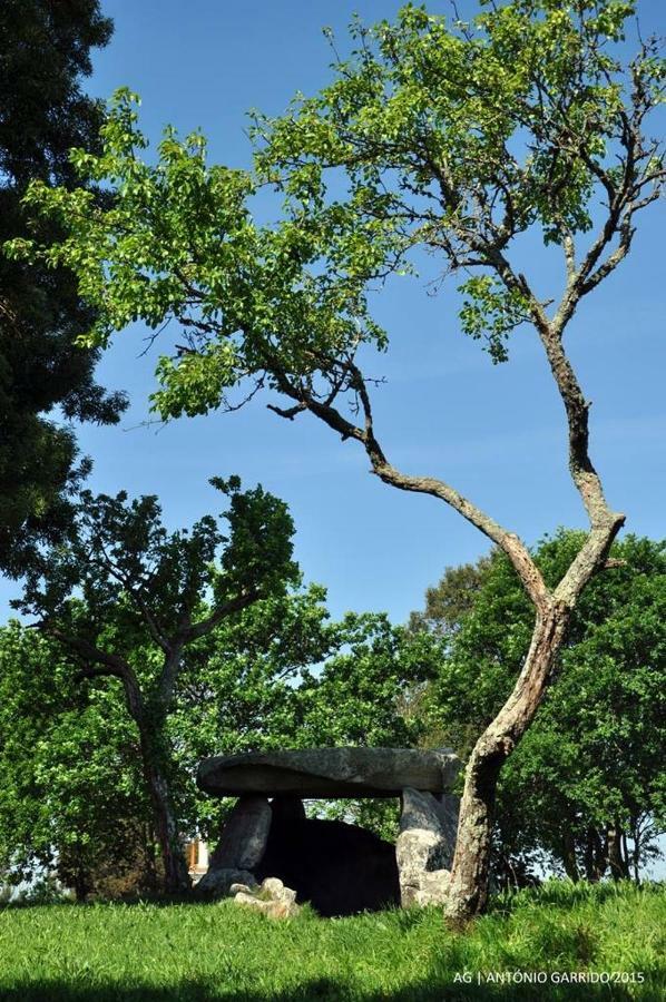 Angelas - Casa Do Coberto Vila Praia de Âncora Dış mekan fotoğraf